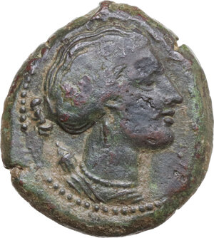 obverse: Syracuse. Agathokles (317-289 BC). AE Litra, c. 295 BC