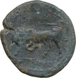 reverse: Syracuse. Agathokles (317-289 BC). AE 16.5 mm, c. 317-310 BC