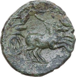 reverse: Syracuse. Under roman rule. AE 20 mm. after 212 BC