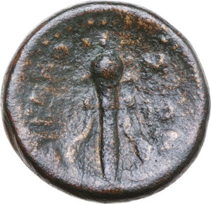 reverse: Syracuse. Under roman rule. AE 14 mm. after 212 BC