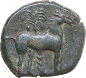 reverse: AE 16.5 mm. c. 360-330 BC, uncertain mint