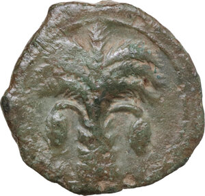 obverse: AE 19.5 mm., c. 350/40-320/300 BC