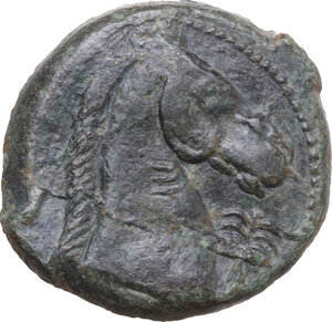 reverse: AE 20.5 mm, 300-264 BC