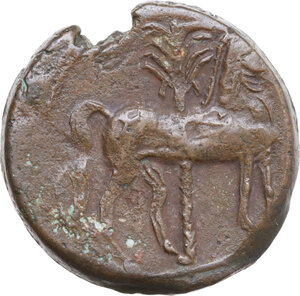 reverse: AE 28 mm, 221-202 BC