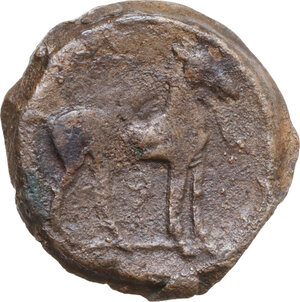 reverse: AE Shekel. Circa 264-238 BC. Uncertain mint