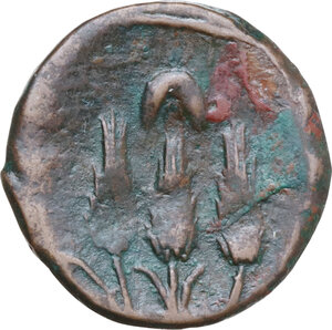 reverse: AE Shekel (?). Circa 241-215 BC. Uncertain mint