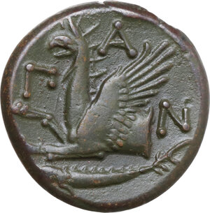 reverse: Cimmerian Bosporos, Pantikapaion. AE 20.5 mm, c. 310-304/3 BC