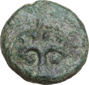 obverse: Caria, Kos. AE 15 mm, c. 210-180 BC. Uncertain magistrate