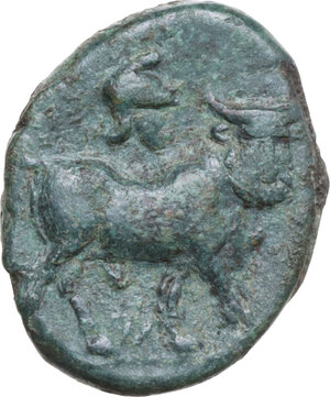 reverse: Central and Southern Campania, Neapolis. AE 18 mm, c. 300-275 BC