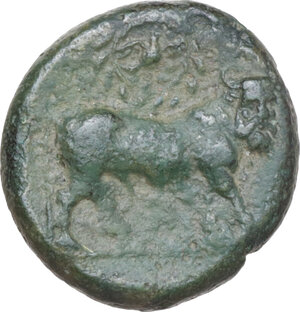 reverse: Central and Southern Campania, Neapolis. AE 17 mm. c. 300-275 BC
