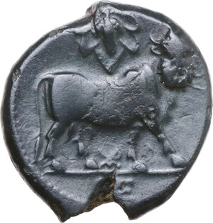 reverse: Central and Southern Campania, Neapolis. AE 19 mm, c. 300-275 BC