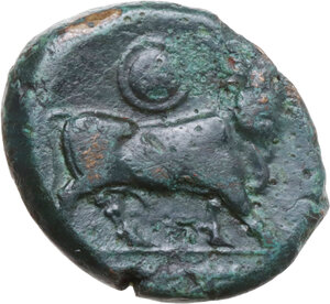 reverse: Central and Southern Campania, Neapolis. AE 17.5 mm, c. 300-275 BC