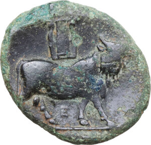 reverse: Central and Southern Campania, Neapolis. AE 18.5 mm, c. 300-275 BC