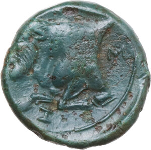reverse: Central and Southern Campania, Neapolis. AE 12 mm, 340-280 BC