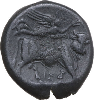 reverse: Central and Southern Campania, Neapolis. AE 19 mm. c. 275-250 BC