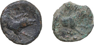 reverse: Greek World. Lot of two (2) AE coins from Paestum (Head of Ceres / Boar)