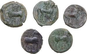 reverse: Greek World. Multiple lot of five (5) unclassified AE coins from Punic Sardinia or Sicily
