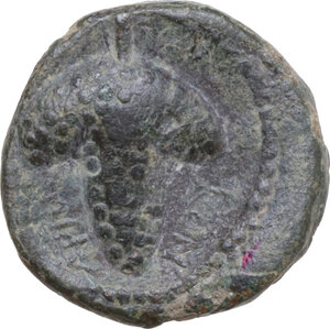 reverse: Northern Apulia, Arpi. AE 16 mm, c. 215-212 BC