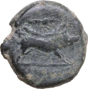 obverse: Northern Apulia, Ausculum. AE 20.5 mm. c. 300-275 BC