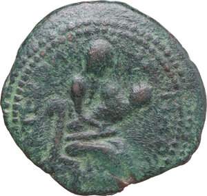 reverse: Mileto. Ruggero I (1072-1101). Trifollaro, 1098-1101