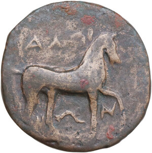 obverse: Northern Apulia, Salapia. AE 22 mm. c. 275-250 BC