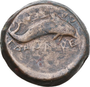 reverse: Northern Apulia, Salapia. AE 22 mm. c. 275-250 BC
