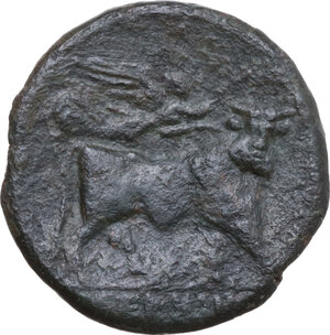reverse: Samnium, Southern Latium and Northern Campania, Aesernia. AE 20 mm, 265-240 BC