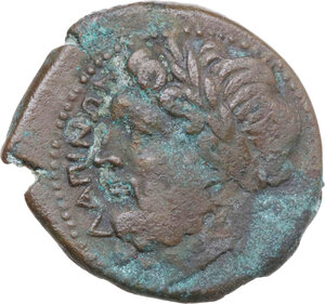 obverse: Northern Apulia, Salapia. AE 22 mm, c. 225-210 BC