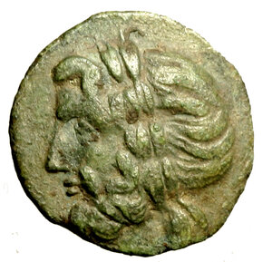 obverse: EPIRO  (Repubblica) (ca 148-50 aC)  Æ 21mm. Testa laur. di Zeus Dodonaeus a sn. R/ AΠEI PΩTAN, Fulmine in corona. Franke 650-654; SNG Cop. 128 (g. 5.42)   AE   patina verde   SPL