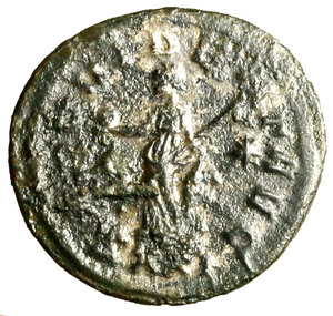 reverse: PROBO (276-282) Antoniniano per Ticinum. IMP C PROBVS AVG, Busto rad. a sn. in abito consolare, con scettro sormontato da un aquila R/ PROVIDENT AVG, Provvidenza stante a sn. RIC 490. (g. 3,84)    AE    qBB