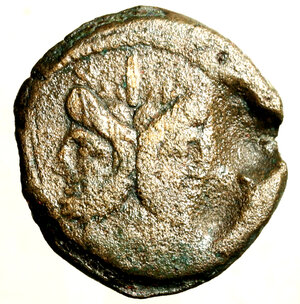 obverse: ANONIME (211 a. C) Asse. Testa di Giano bifronte R/ Prora di nave a ds.     (g. 18,45)    AE    BB