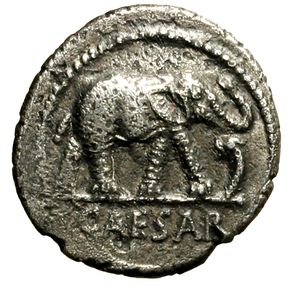 obverse: GIULIO CESARE. (49-44 a. C.) Denario. Elefante verso ds. calpesta dragone R/ Strumenti sacerdotali (g. 3,32 mm. 18) Crawford 443/1.      raro   qSPL