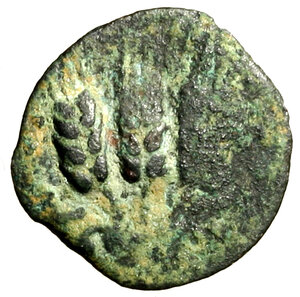 obverse: JUDAEA. Agrippa I (37-43) Prutah per Gerusalemme. Padiglione R/ Tre spighe. Hendin 120    AE    RARO    (g. 2,57)   qBB