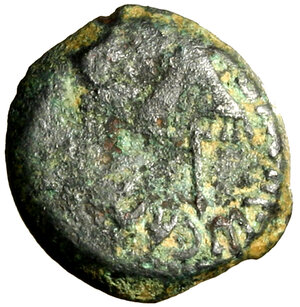 reverse: JUDAEA. Agrippa I (37-43) Prutah per Gerusalemme. Padiglione R/ Tre spighe. Hendin 120    AE    RARO    (g. 2,57)   qBB