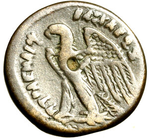 reverse: EGITTO. Tolomeo VIII Evergetes (146-116 a. C.) Dicalco. Testa a ds. coperta da pelle di elefante R/ Aquila ad ali aperte a sn. Laffaille 619    AE    RARO   qBB