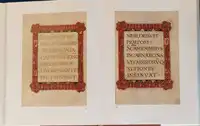 Reverse image