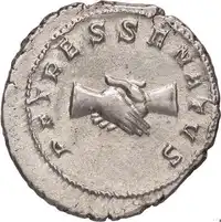 Reverse image