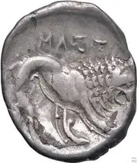 Reverse image
