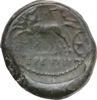 Reverse image