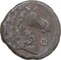 lot 229
