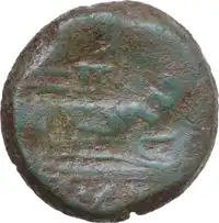 Reverse image