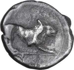 reverse: Northern Lucania, Velia. AR Stater, 300-280 BC