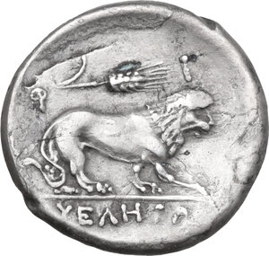 reverse: Northern Lucania, Velia. Fourrée Stater, 300-280 BC