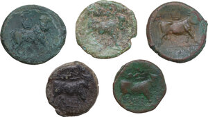 reverse: Greek Italy. Neapolis and Caleno. Multiple lot of five (5) unclassified AE coins