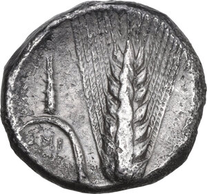 reverse: Southern Lucania, Metapontum. AR Stater, 340-330 BC