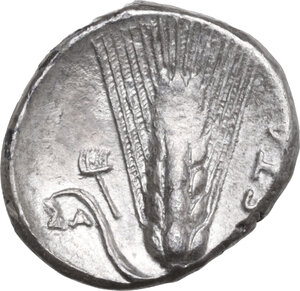 reverse: Southern Lucania, Metapontum. AR Stater, 330-290 BC