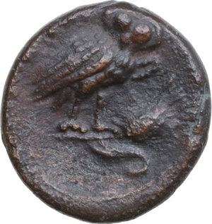 reverse: Southern Lucania, Metapontum. AE 15 mm, 250-207 BC