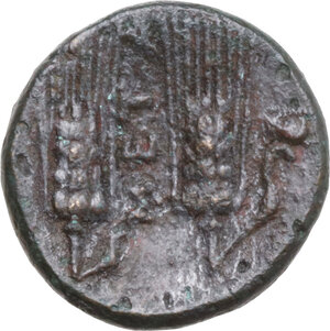 reverse: Southern Lucania, Metapontum. AE 17 mm, 250-207 BC