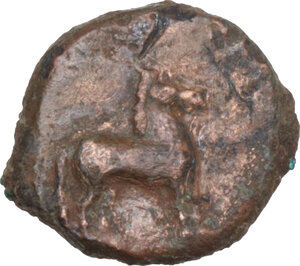 reverse: Eryx. AE 11 mm, 4th century BC