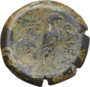 reverse: Samnium, Southern Latium and Northern Campania, Cales. AE 21 mm. c. 265-240 BC